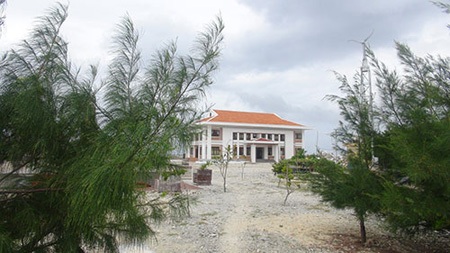 Trên đảo Phan Vinh A
có khá nhiều các loại cây xanh.