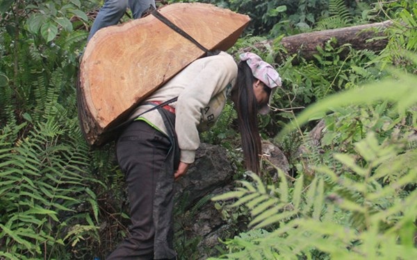 Truy tìm chủ nhân khúc gỗ lao từ trên núi, đè chết người đi đường - 1 Truy tìm chủ nhân khúc gỗ lao từ trên núi, đè chết người đi đường