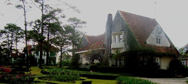 Bất ngờ với cây mắc ca đại thụ trong biệt thự cổ Đà Lạt