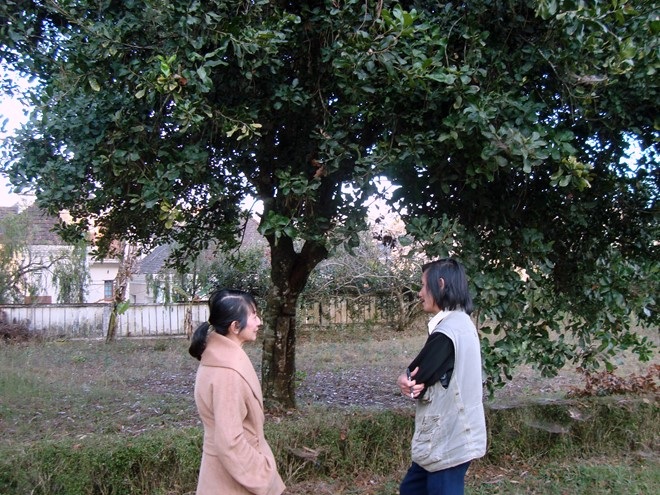 Chu vi ước khoảng 1,2m.