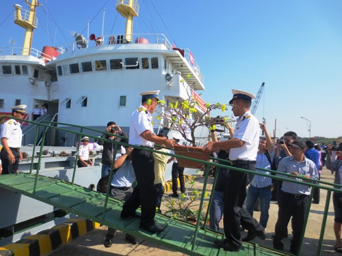 Chuyển chậu hoa mai xuống tàu đi DK1.