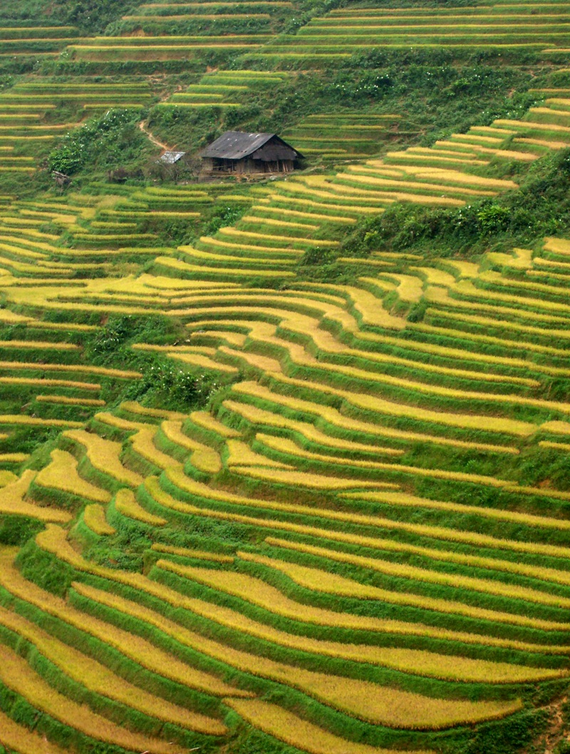 Tình cảm đặc biệt Bác Hồ dành cho Lào Cai
