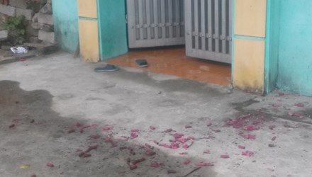 Pháo nổ ở Hà Nam: Người dân nói có, công an bảo không - 1 Xác pháo đỏ trước cửa một hộ thuộc xã Liêm Tiết, thành phố Phủ Lý. Ảnh: Đồng Văn
