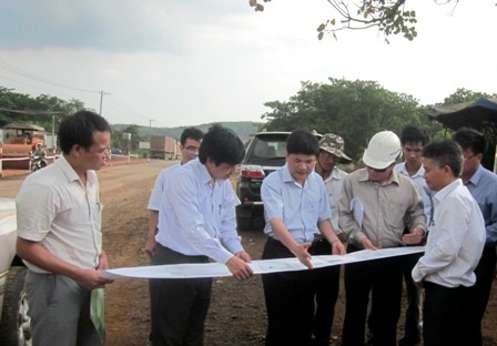 Nắn đường đang thi công để giữ một cây cổ thụ