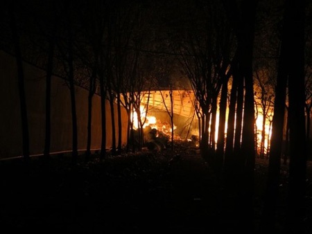 Đám cháy rất gần rừng cao su.