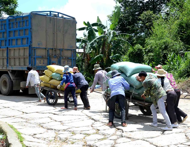 Ngăn chặn 333 người dân sang Trung Quốc làm thuê trái phép