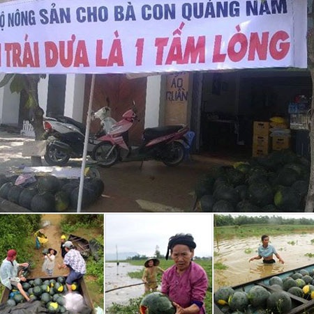 Câu chuyện của những trái dưa "xanh vỏ đỏ lòng" - 4 Câu chuyện của những trái dưa xanh vỏ đỏ lòng