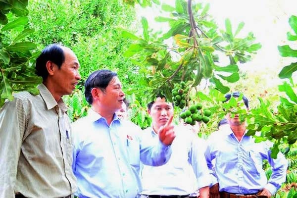 Nỗi đau dưa hấu, nỗi niềm mắc ca - 1 Nỗi đau dưa hấu, nỗi niềm mắc ca
