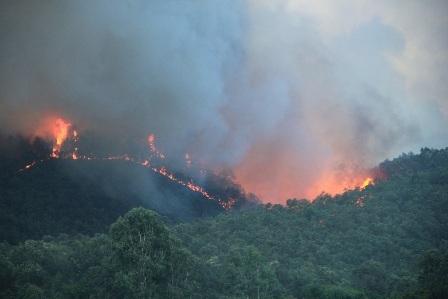 Thanh Hoá di dân khẩn cấp, trắng đêm chữa cháy rừng - 2 Lửa lan rộng trên một diện tích lớn ở khu vực địa hình đồi dốc.