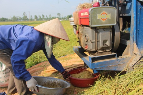 Phút nghỉ ngơi hiếm hoi sau bóng râm của xe lúa.