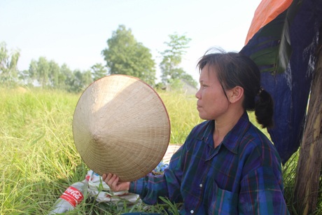 Phút nghỉ ngơi hiếm hoi sau bóng râm của xe lúa.