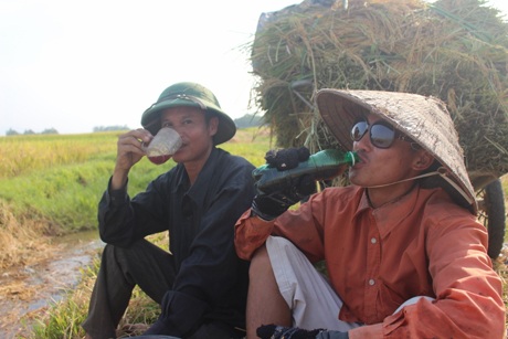 Phút nghỉ ngơi hiếm hoi sau bóng râm của xe lúa.