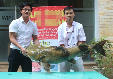 Cận cảnh cá Chiên “khủng” giá 40 triệu đồng tại Hà Nội - 1 Anh Thọ (bía trái) phấn khởi mua được con cá Chiên quý, hiếm