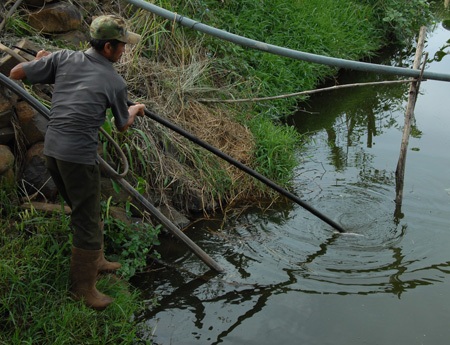 Nước trong ao của nhiều hộ dân xã C’rê Đăng bị nhiễm chất thải nước đen ngòm