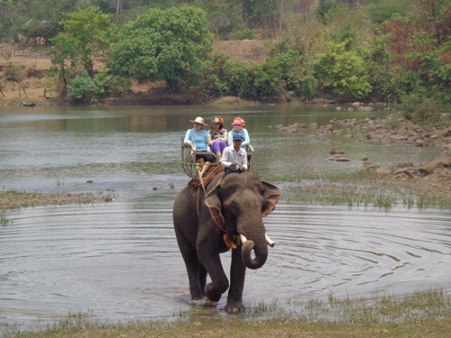 Du khách thích thú khi được cưỡi voi vượt sông Sêrêpôk