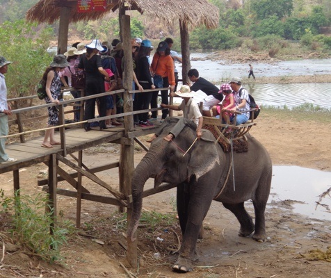 Xếp hàng tới lượt cưỡi voi