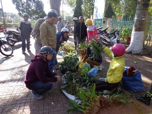 Khu vực bán lan rừng luôn tấp nập người mua