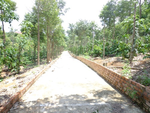 Đường bê tông dẫn vào nhà ông Minh