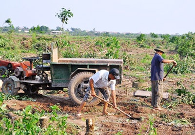Tổng hợp vướng mắc để chỉnh quy định cưỡng chế thu hồi đất - 1 Tổng hợp vướng mắc để chỉnh quy định cưỡng chế thu hồi đất