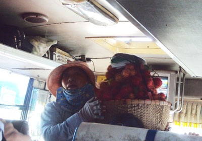 Nhộn nhịp chôm chôm theo xe khách “Bắc tiến” - 2