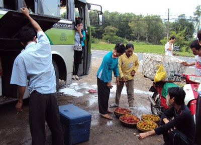 Nhộn nhịp chôm chôm theo xe khách “Bắc tiến” - 3