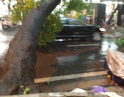 Hà Nội mưa ngập toàn thành phố, cây xanh đổ hàng loạt