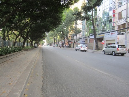 Đường Điện Biên Phủ trông mát lành trong ngày đầu năm mới