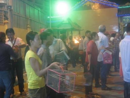 Những lồng chim phóng sinh luôn sẵn sàng phục vụ khách hành hương