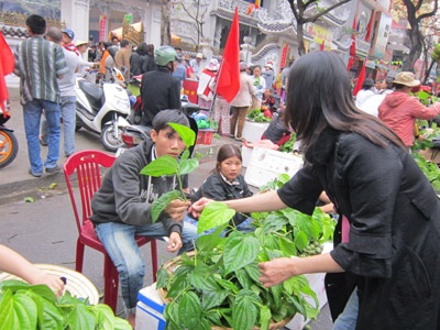 Mua một ngọn trầu, một gói muối như lộc may đầu năm với nhiều người.
