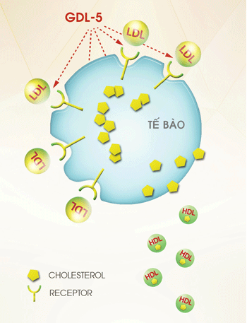 Ngăn ngừa biến chứng cao huyết áp như thế nào?