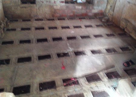 Đánh đổi sinh mạng bằng nghề nuôi rắn độc - 2 Những hang rắn đặc biệt.