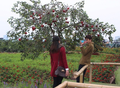 Dịch vụ cho thuê bối cảnh chụp ảnh hốt bạc ngày Valentines - 2 Nguyễn Dương