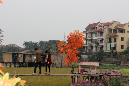 Dịch vụ cho thuê bối cảnh chụp ảnh hốt bạc ngày Valentines - 5 Nguyễn Dương