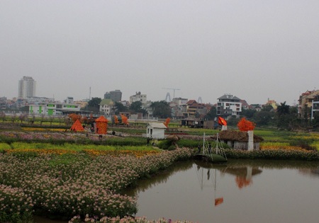 Dịch vụ cho thuê bối cảnh chụp ảnh hốt bạc ngày Valentines - 6 Nguyễn Dương