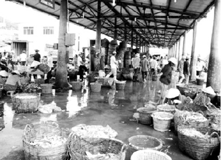 Mượn con riêng của vợ hờ để giấu bệnh vô sinh - 1 Chợ thu mua hải sản Vũng Tàu – nơi băng nhóm Minh “Samasa” từng hoành hành một thời.