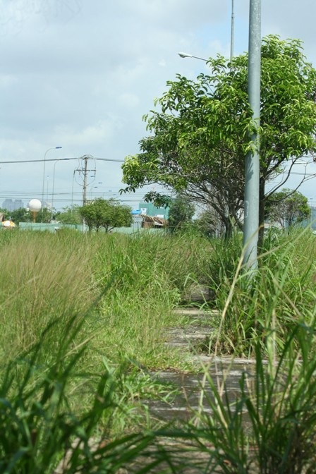 "Thổi" giá đất nền vô tội vạ - 7