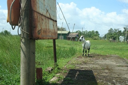"Thổi" giá đất nền vô tội vạ - 11