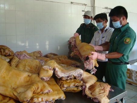 Thịt thối ùn ùn về thành phố - 1