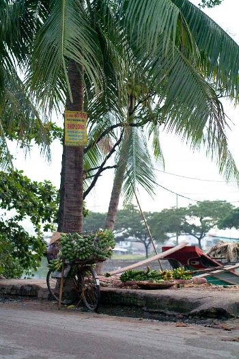 Chợ nổi giữa lòng Sài Gòn - 12