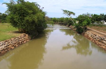 Đất Xanh phân phối độc quyền khu biệt thự Hồ Thiên Nga - 2