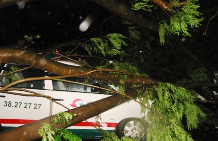 TPHCM: Cảnh báo thiên tai cho dân bằng tin nhắn