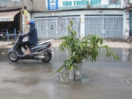 Những chiếc hố vừa vặn cho bánh xe lọt xuống