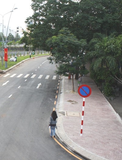 Hàng cây xanh mát trên đường