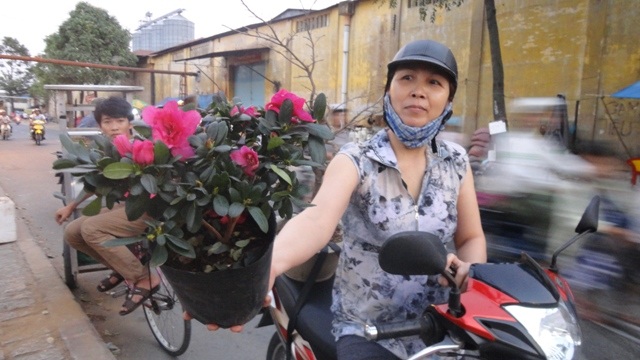 Với người mua, sắm được 1 chậu hoa chưng Tết với giá rẻ lại là một niềm vui