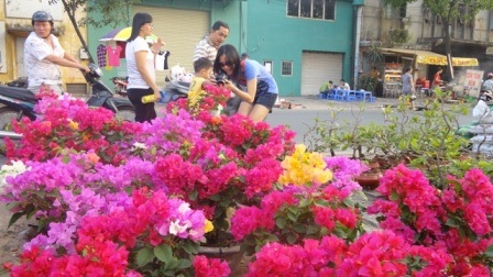 Chợ hoa Bến Bình Đông đã bắt đầu tấp nập