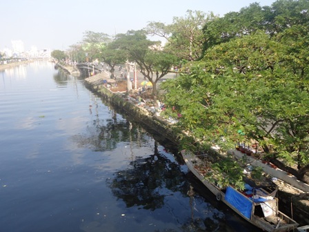 Chợ hoa Bến Bình Đông đã bắt đầu tấp nập