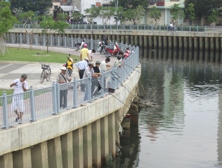 Thả cá và cấm câu cá trên 2 dòng kênh mới "hồi sinh" - 1 Thả cá và cấm câu cá trên 2 dòng kênh mới hồi sinh
