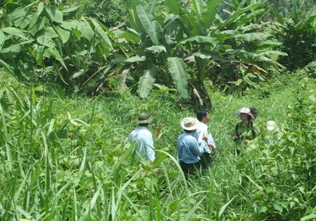 Các nhà khoa học đi khảo sát thực địa khu vực dự kiến xây dựng thủy điện Đồng Nai 6, 6A