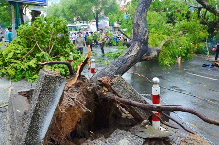 Bi kịch lương khủng và đường phố Sài Gòn