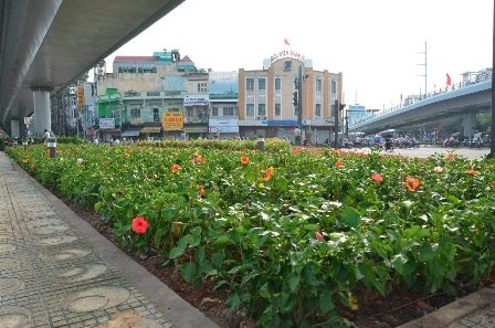 Mảng xanh dưới cầu được chăm chút trong ngày thông xe